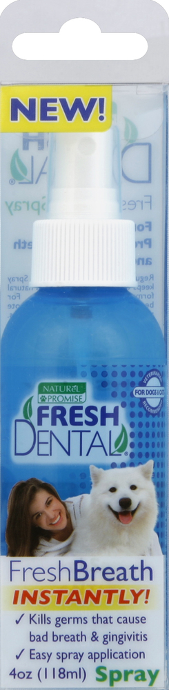 Fresh dental breath spray outlet