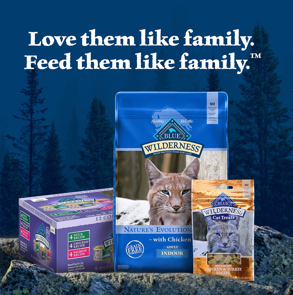 Blue Buffalo Blue Wilderness Cat Food Grain Free Chicken Recipe Adult